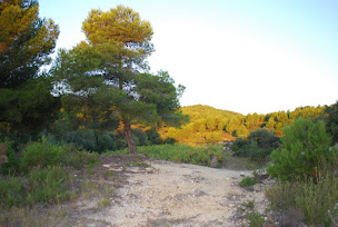 Photo n°12 de Château Montfin à Peyriac-de-Mer (Caviste)