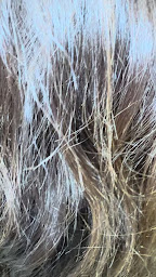 Photo n°14 de 1ére Avenue - Coiffeur Lyon 7 à Lyon (Magasin de produits de beauté)