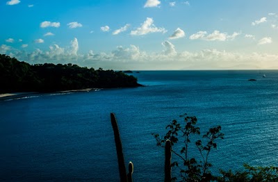 Photos of Pinching Bay