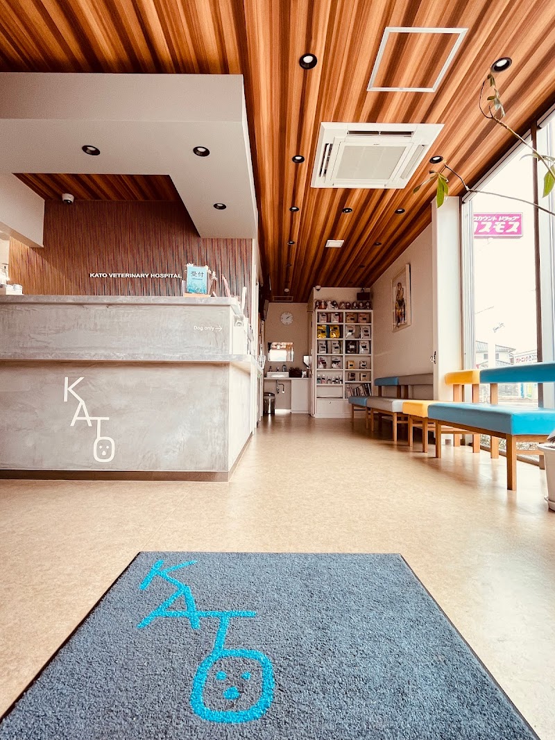 かとう動物病院