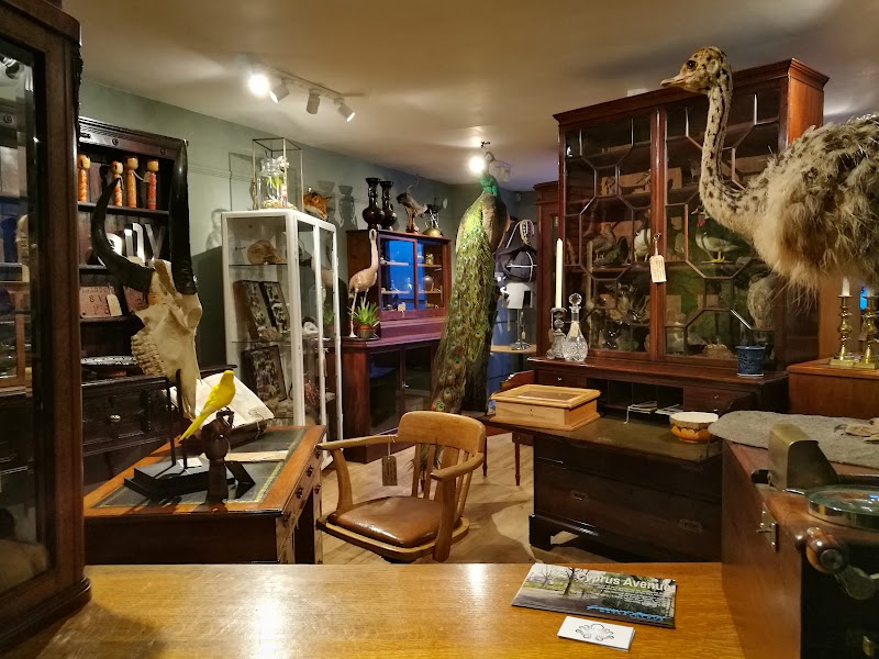 The Natural Room Emporium photo 2