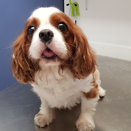 Photo n°15 de Clinique Vétérinaire Anima-Vet à Saint-Genis-Pouilly (Vétérinaire)