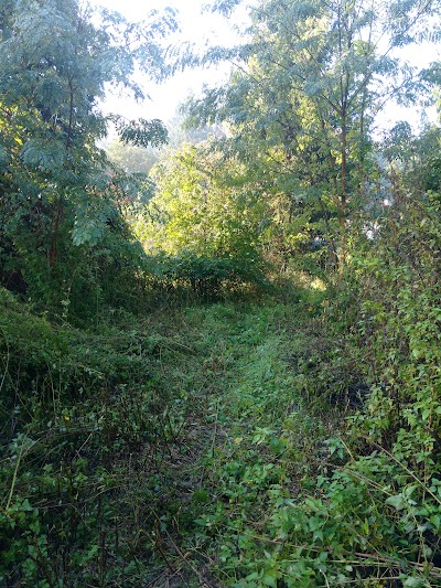 Photos of K&ouml;vessy Bt.