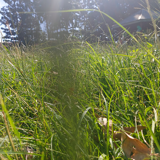 Charles Barton Park - Thumbnail