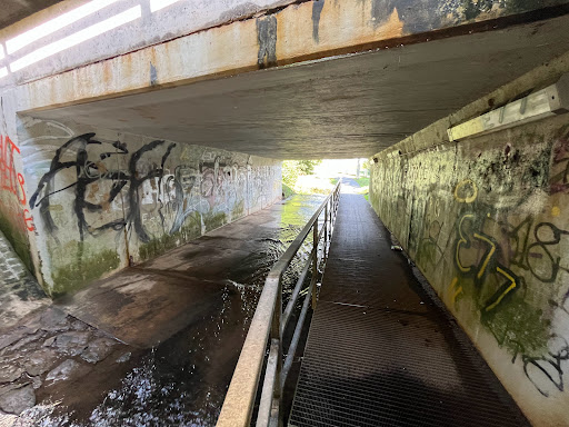 Rüsselbach - Visual