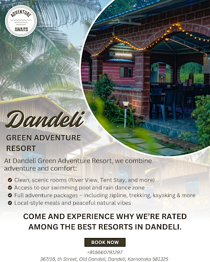 What Our Guests Are Saying About Dandeli Green Adventure Resort 🌿 post image