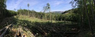 Photo n°6 de Herrera Exploitation Service à Vatilieu (Exploitation forestière)