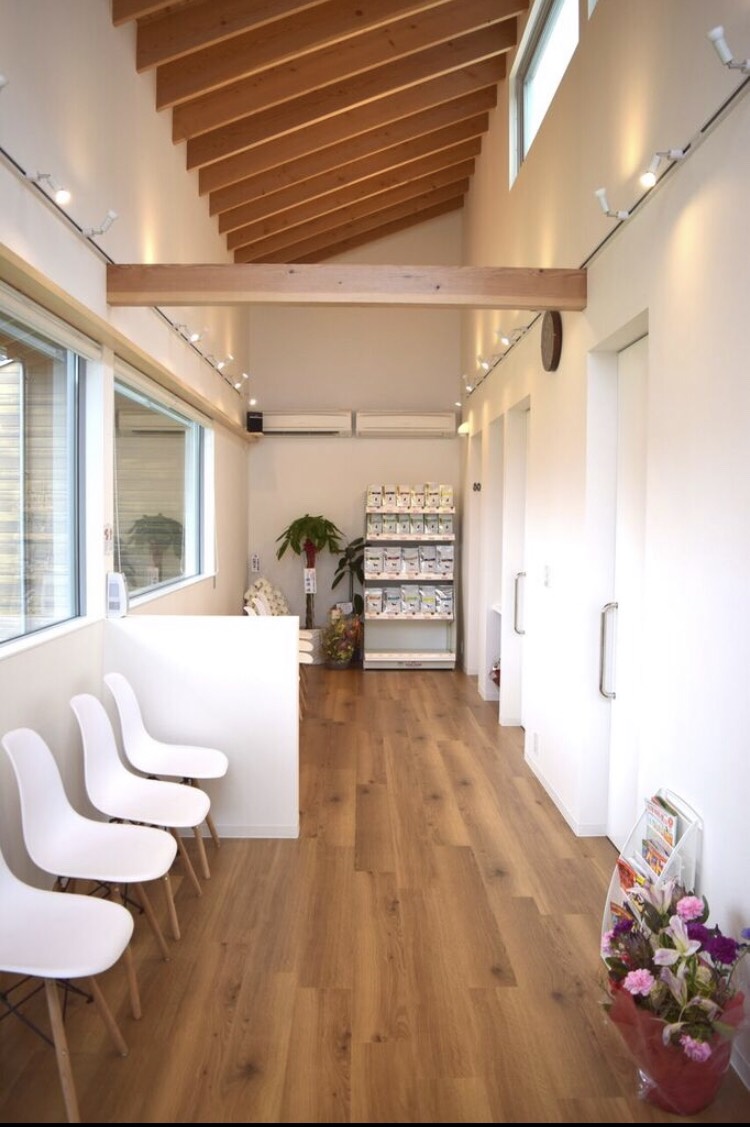 みどりのまち動物病院