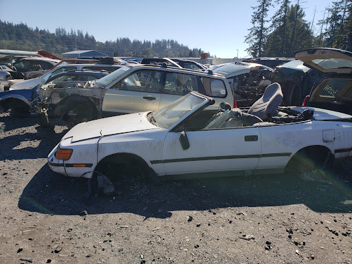 Pick-A-Part - Visual