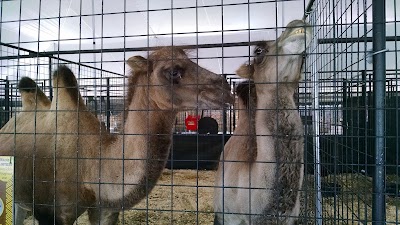 The Watering Hole Safari and Waterpark (Monsoon Lagoon)