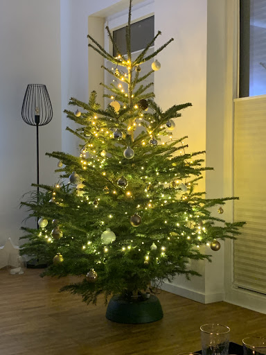 Weihnachtsbaumland.de - Thumbnail