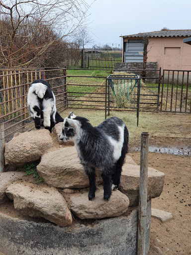 Güterglück Zoo - Thumbnail