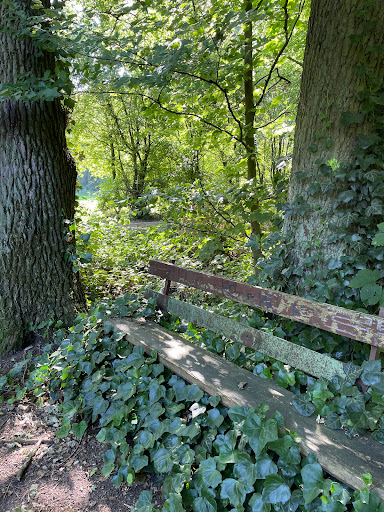 Cappenberger Wald - Thumbnail