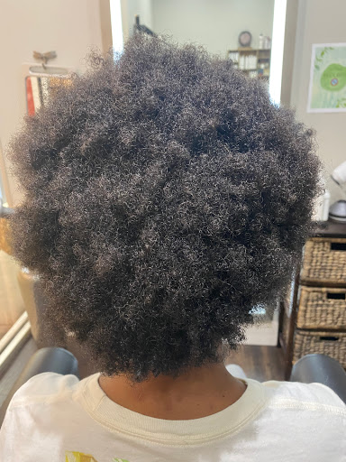 Alicia's Curls @Brandon Hairstyling - Thumbnail