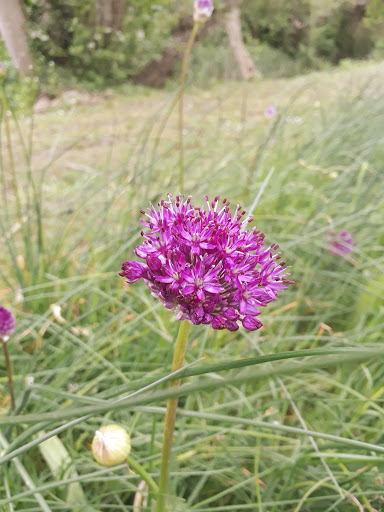 Civic Park, Ashford, Kent - Thumbnail