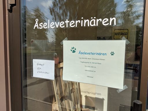 Åseleveterinären - Thumbnail