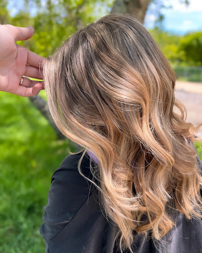 Pretty Little Chameleon- Color and Blonding Specialist - Thumbnail