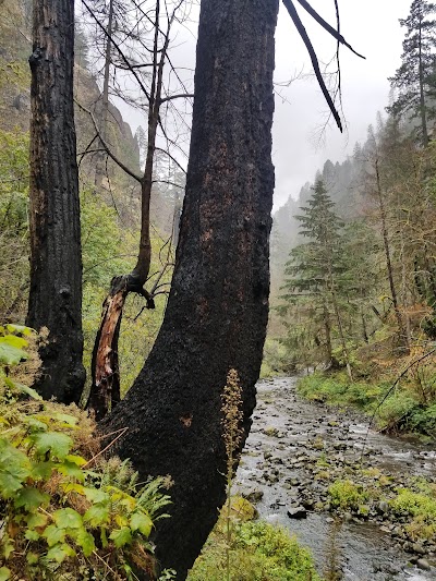 Wahclella Falls