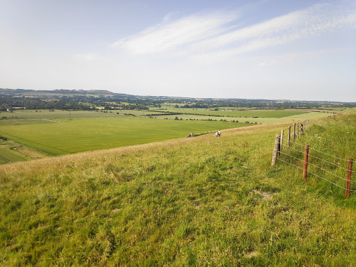 Pewsey White Horse - Thumbnail
