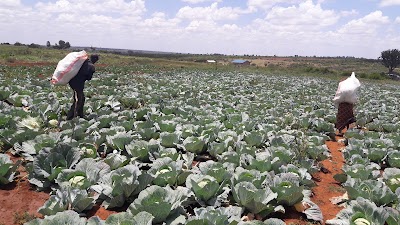 Photos of Rumuruti Forest