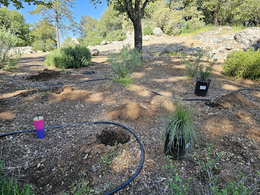 Solomon's Gardens Nursery & Landscaping - Thumbnail