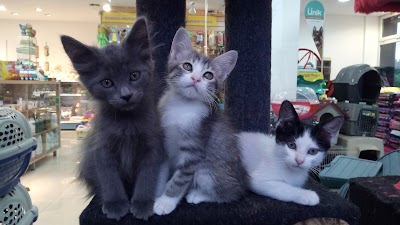 Photos of Veterinaria Alem Sarmiento