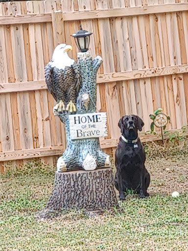 Blackhawk Veterinary Services, Ltd.