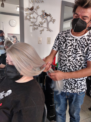 Estetica Metamophosis - Thumbnail