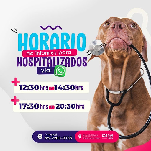 CaT DoGmania 24 hrs Hospital , servicio a domicilio