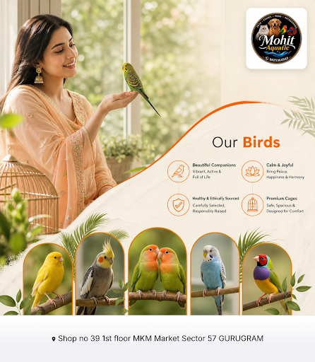 MOHIT AQUATIC is your go-to aquarium shop in Gurugram offering a wide selection of birds, exotic… post image