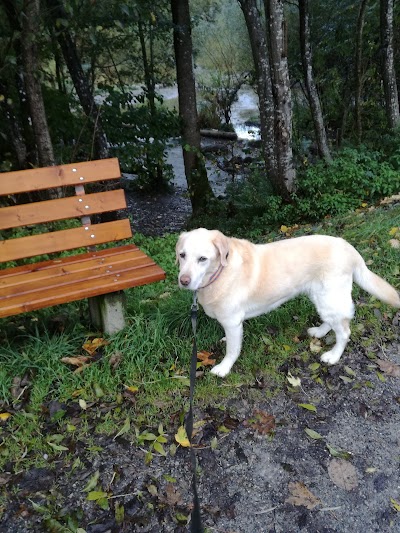 Photos of Camping Th&ouml;ny