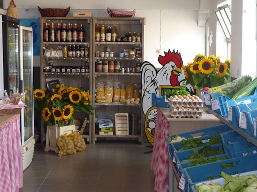 Boerderijwinkel Ten Haaf - Thumbnail