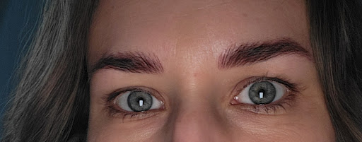 B.brows - Visual