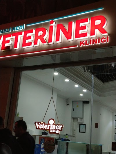 Cizmeli Kedi Veterinary Clinic