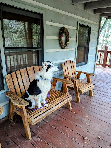 Mountain Stream Vacation Cabins Gallery - United States