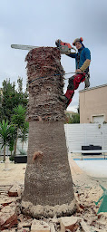 Photo n°6 de ARBORUS à Béziers (Service d'élagage)