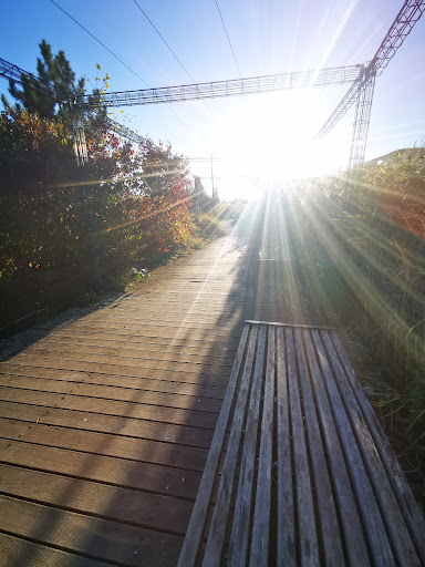Parc du Taureau