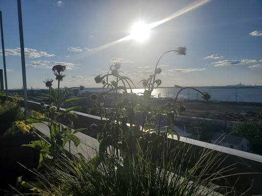 The Roof at the Rockaway - Thumbnail