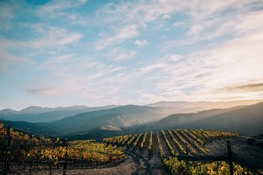 Holman Ranch - Visual