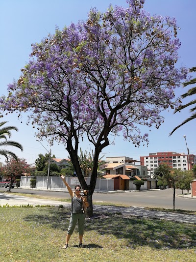 park