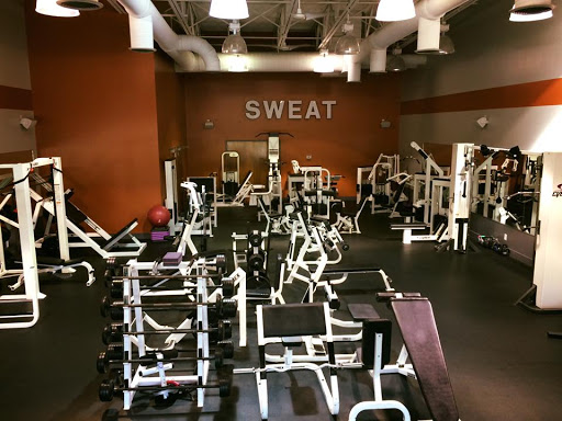 SG fitness - Thumbnail
