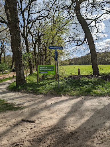 Drentsche Aa - Visual