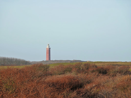 Ouddorp, strand Noordweg - Thumbnail