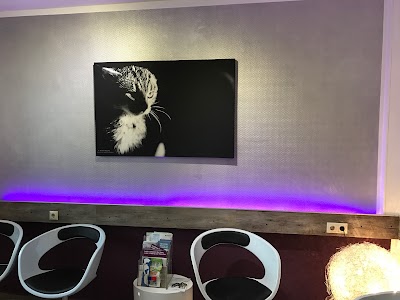 Photos of Veterinarian Joachim Eichner