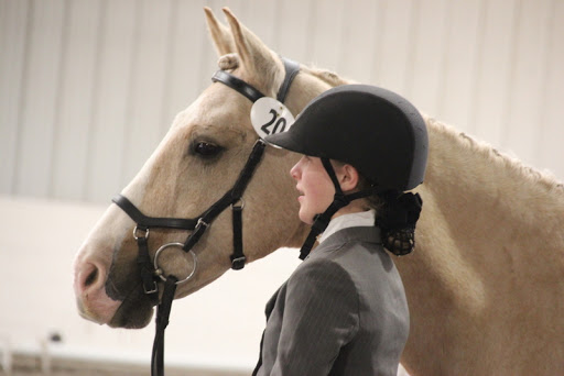Ballantine Dressage - Thumbnail