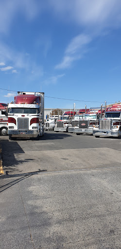 Freestone’s Transport - Visual