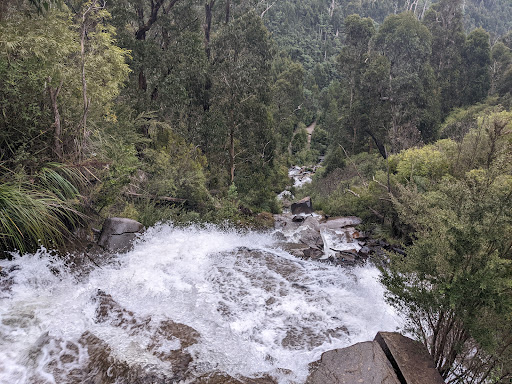 Steavenson Falls - Thumbnail
