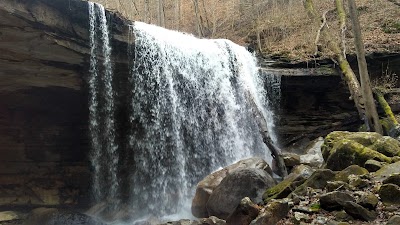 Virgin Falls State Natural Area