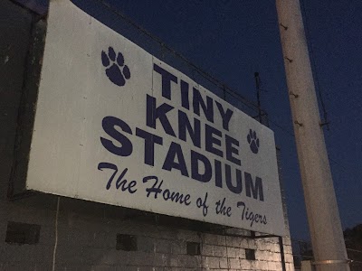 Tiny Knee Stadium