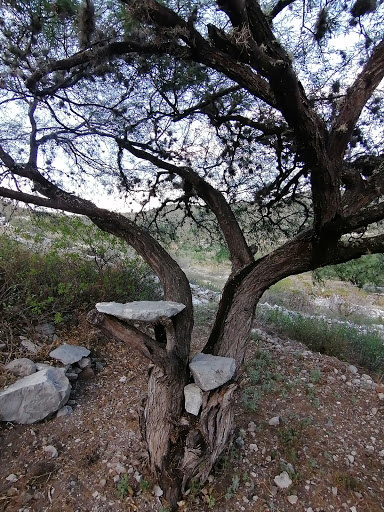 taxadho Botanical Garden - Thumbnail